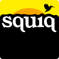 squiq_logo_02 01 wort_bildmarke_bunt_rechteckig_MDD_partner